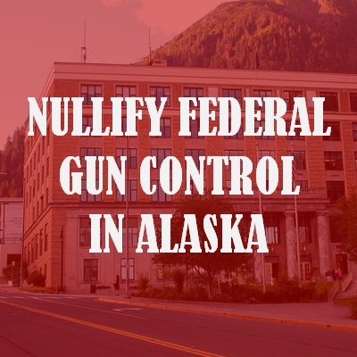 Nullify Federal Gun Control in Alaska with HB 372