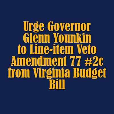 Support Election Audits — Urge Virginia Gov. Glenn Younkin to Line-item Veto Amendment 77 #2c