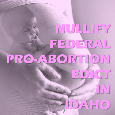 Nullify Federal Pro-abortion Edicts in Idaho