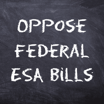 Oppose Federal ESA Bills — Instead, Get the Feds Completely Out of Education