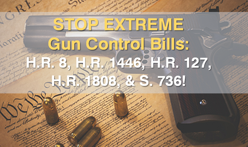 Stop-Extreme-Gun-Control-Bills-825x491-1.png