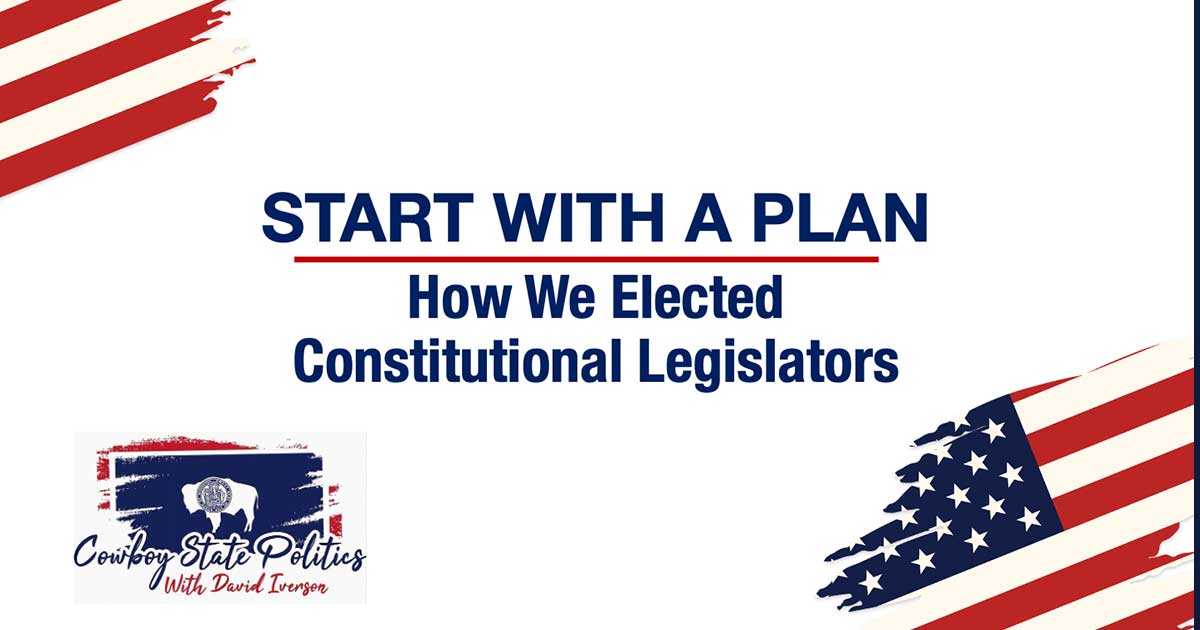 Start With a Plan: How We Elected Constitutional Legislators