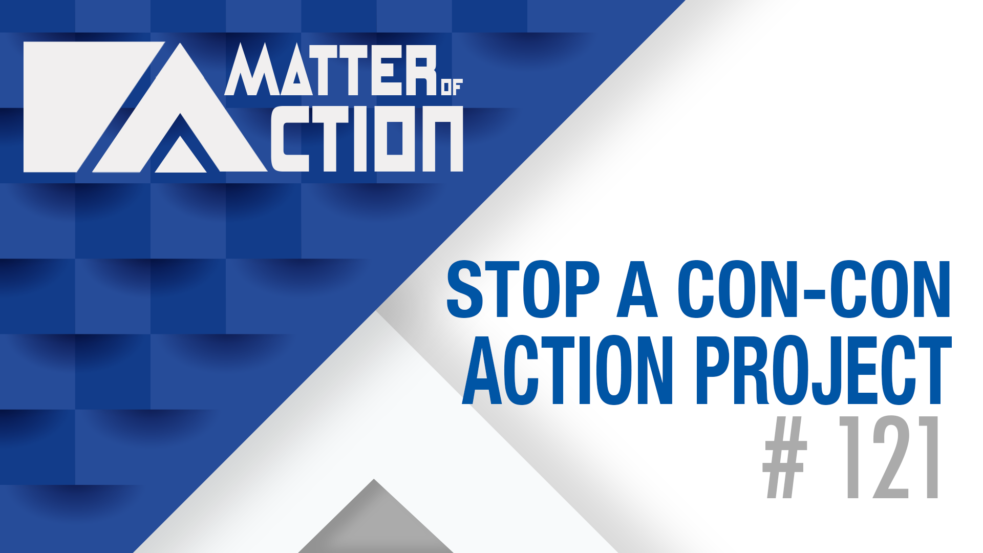 Stop a Con-Con Action Project | Matter of Action #121