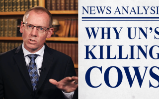 Ireland to Cull 200k Cows for Climate Change | JBS News Analysis