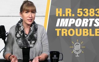 H.R. 5383: Decriminalizes Illegal Immigration