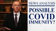 Possible Covid Immunity?
