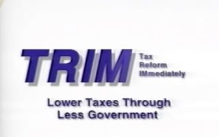 TRIM: Cutting Big Government