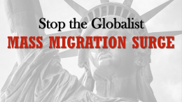 Stop Radical Mass-migration Policies