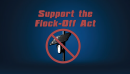 Support the Flock-Off Act (H.R. 10221)