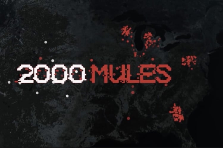 2000 Mules Full Of Must See Surprises The New American