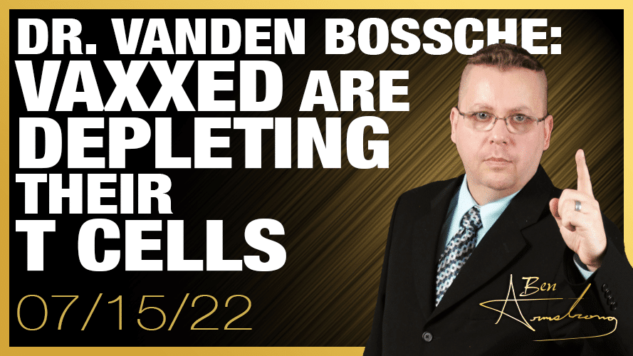 Vaxxed Are Exhausting and Depleting Their T Cells Says Dr. Geert Vanden Bossche - The New American
