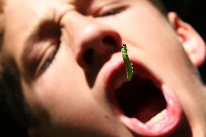 Public Schools Brainwashing Children to Eat Bugs