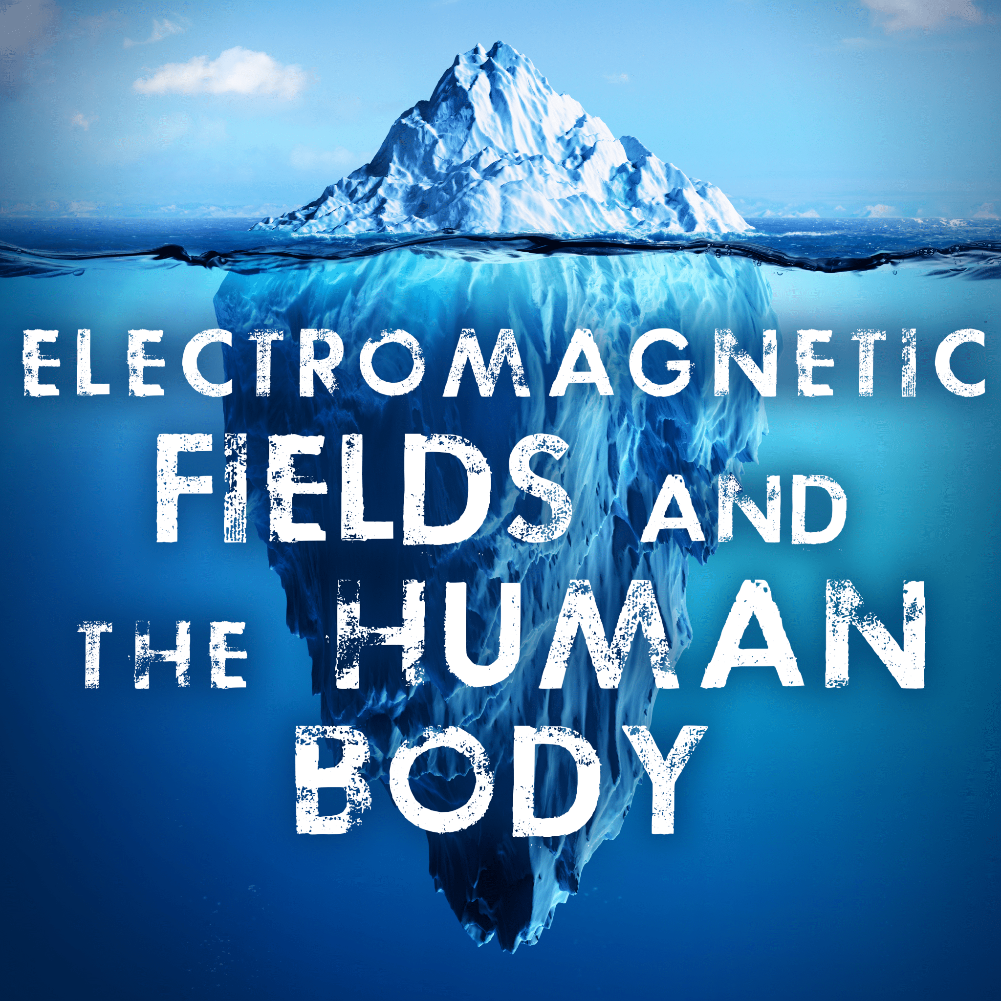 Fields and the Human Body The New American