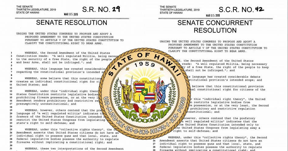 Hawaii Lawmakers Urge Congress To Repeal 2nd Amendment - The New American