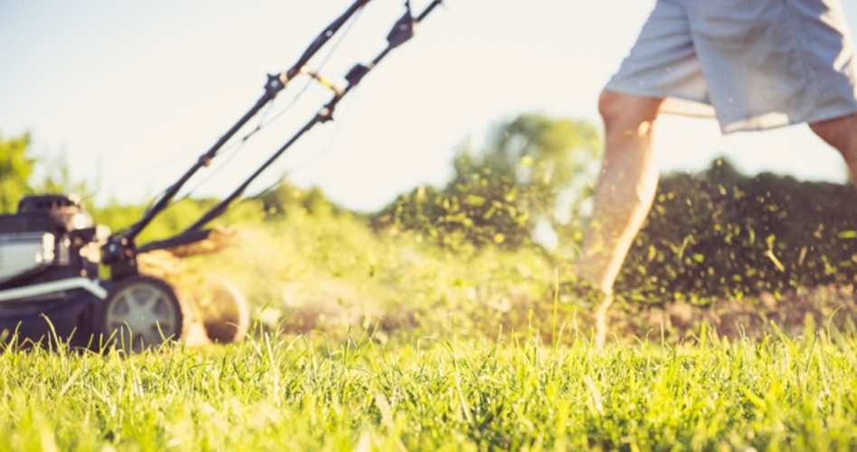 A License To Mow Lawns Occupational Licensure And Liberty The New