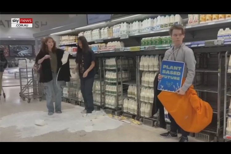 U.K. Activists Dump Milk in Grocery Stores in Climate-change Tantrum
