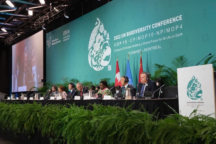 UN Biodiversity Summit Concludes With Agreement to Save “Mother Earth” by Taxing and Shackling Humanity