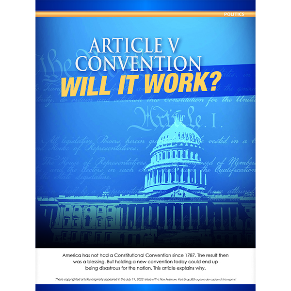 Article V Convention: Will it Work? reprint