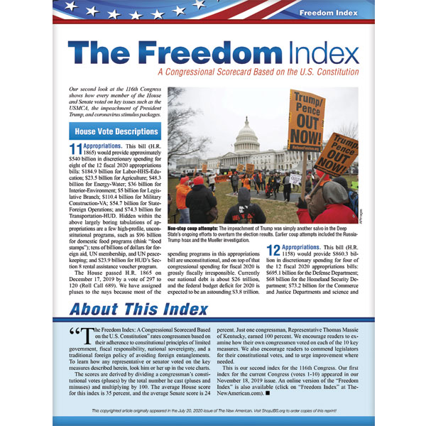 Freedom Index July 2020 reprint