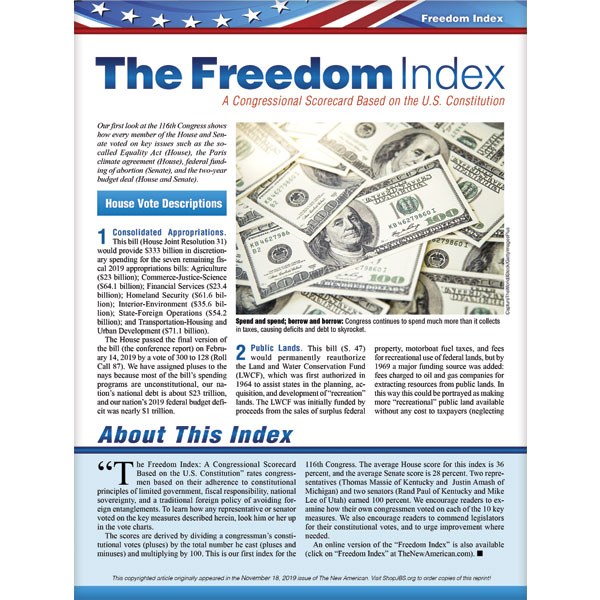 Freedom Index November 2019 reprint