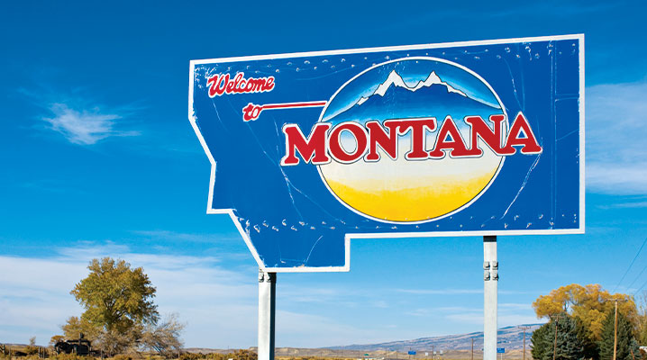 legislative action alerts for Montana